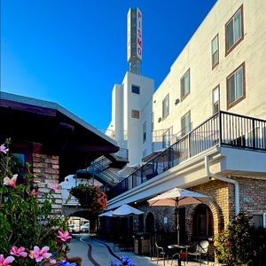 Meet your Posher, Freddy